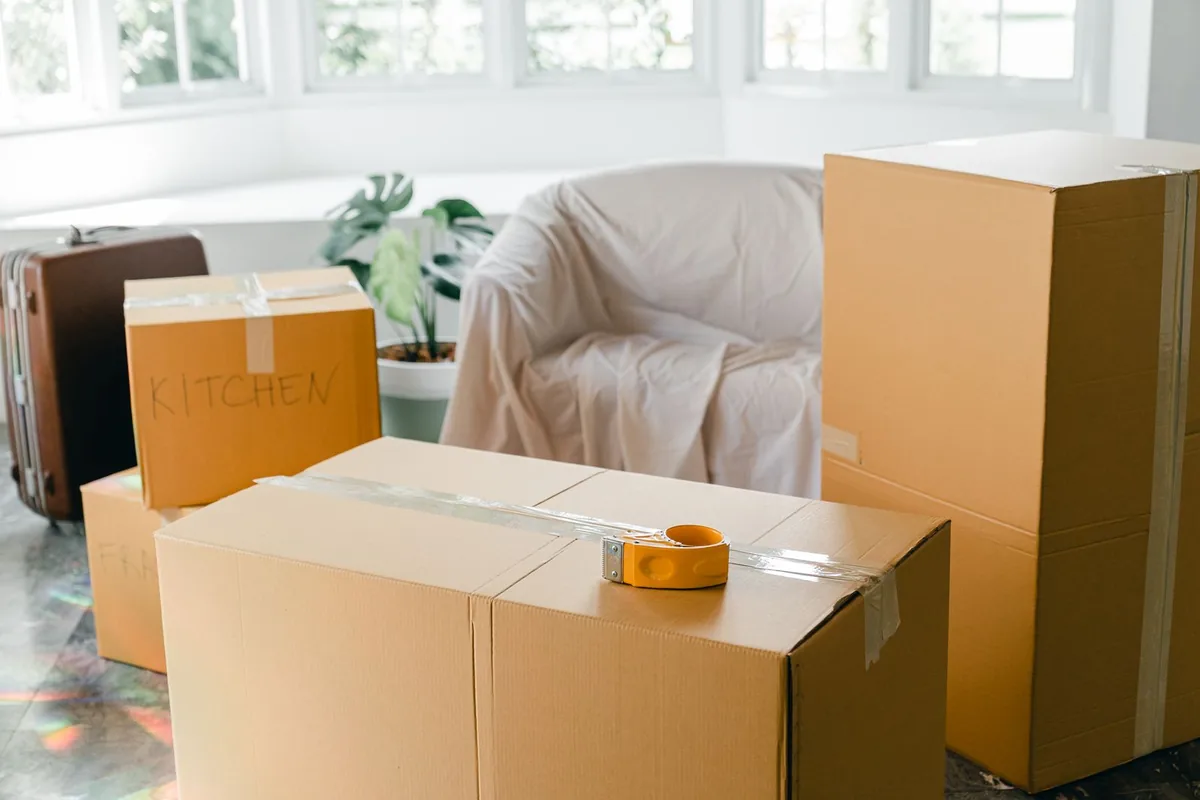 Hoarding Cleanup in Belmont, New York, NY